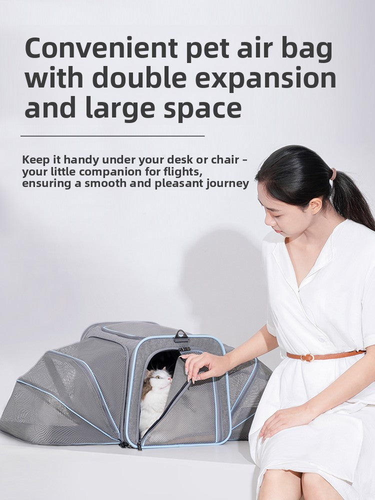 Cat large space soft cover