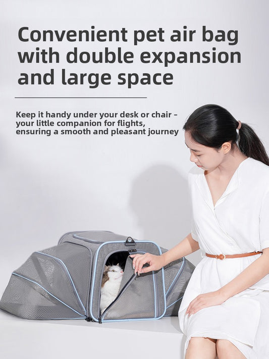 Cat large space soft cover