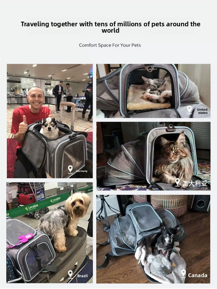 Cat large space soft cover